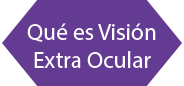 Qué es Visión Extra Ocular